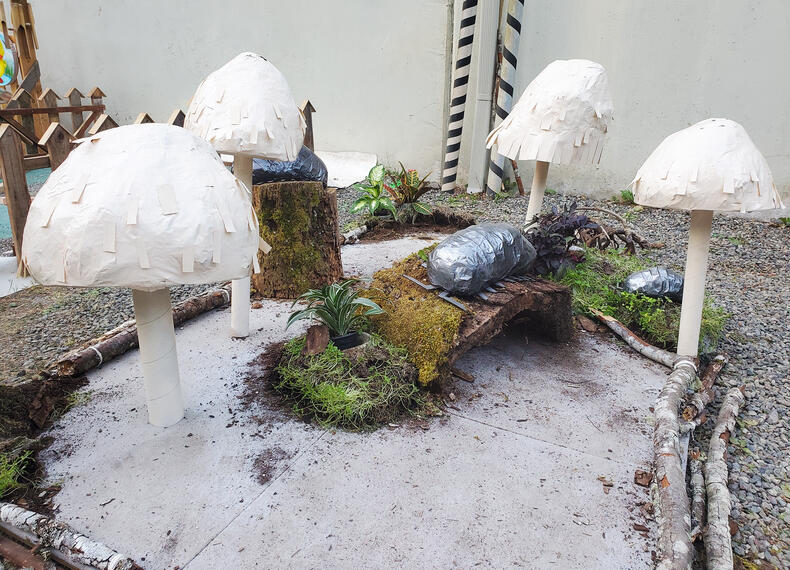 Potato bugs and mushrooms