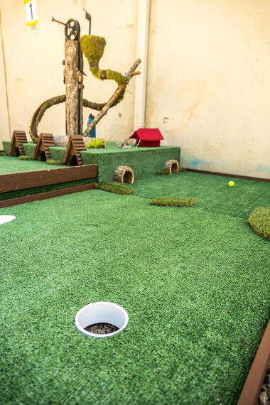 hand crank stump squirrel chase